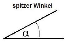 Spitzer Winkel