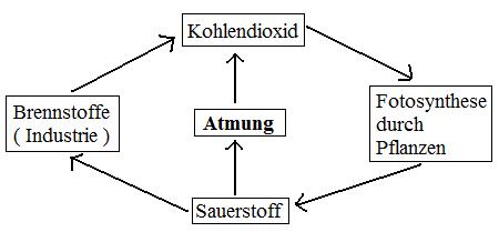 Kohlenstoffkreislauf und Sauerstoffkreislauf