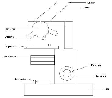 Mikroskop