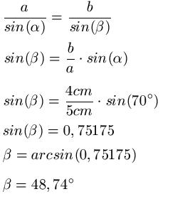 Sinussatz  Beispiel 1